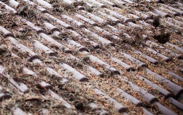 Pentre Bach roof cleaning companies